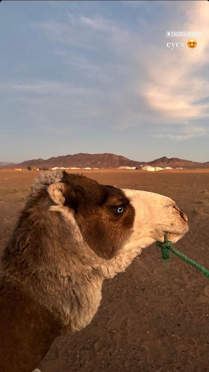 Bivouac Zagora 호텔 외부 사진