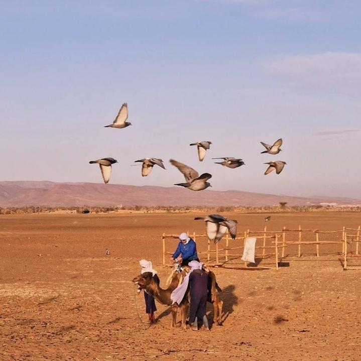 Bivouac Zagora 호텔 외부 사진